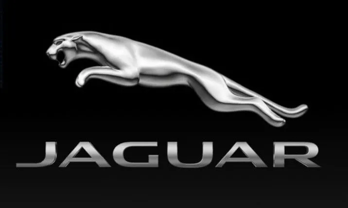 Silver leaping jaguar logo displayed above the text "JAGUAR" in bold, metallic letters, set against a black background.